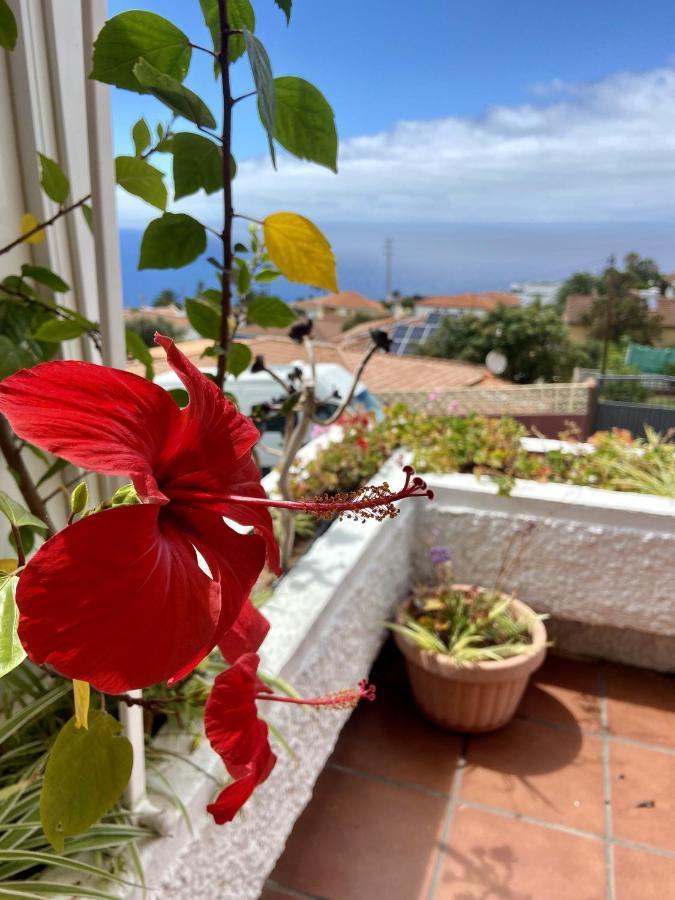 Guanche Bay Apartman Santa Cruz de Tenerife Kültér fotó